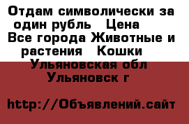 Отдам символически за один рубль › Цена ­ 1 - Все города Животные и растения » Кошки   . Ульяновская обл.,Ульяновск г.